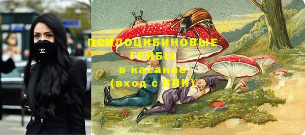 PSILOCYBIN Белоозёрский