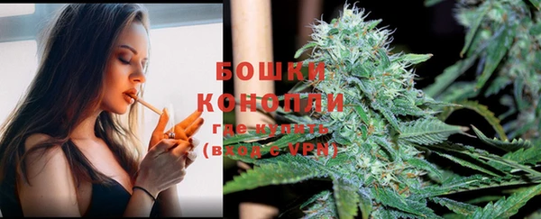 стафф Белокуриха