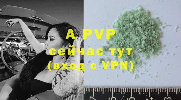 стафф Белокуриха