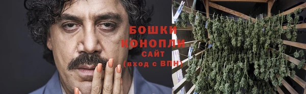 PSILOCYBIN Белоозёрский